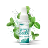 e liquide menthe glace sel nicotine
